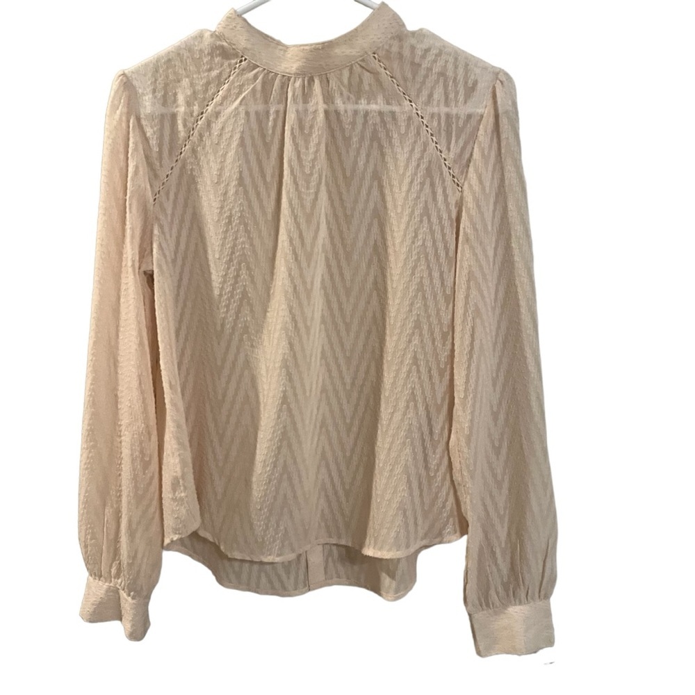 Free People Sheer Long Sleeve Blouse. Size S